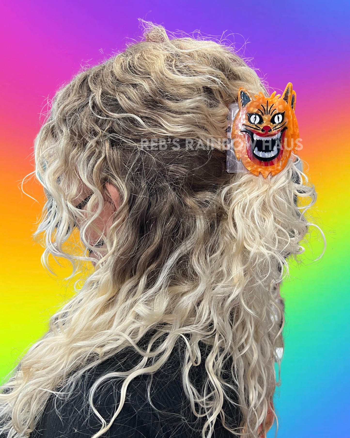 House Hair Claw