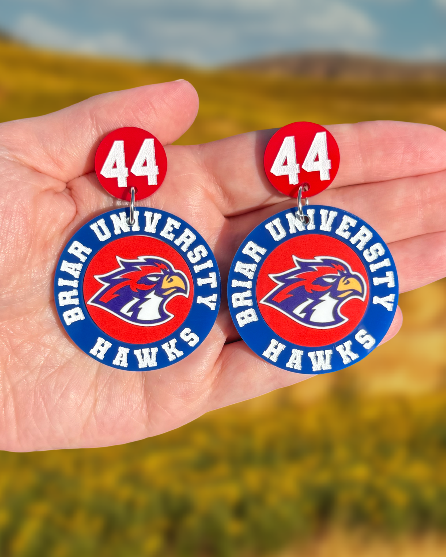 *PRE-ORDER* BU Hawks Logo